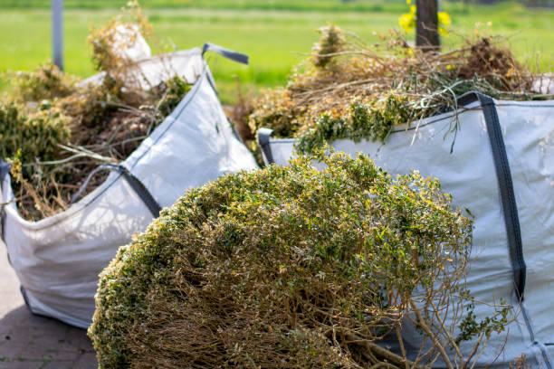 Best Yard Waste Removal  in Point Pleasant, NJ